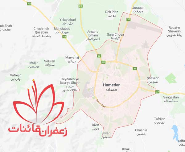 نمایندگی صادرات زعفران فله در همدان نمایندگی صادرات زعفران فله در همدان