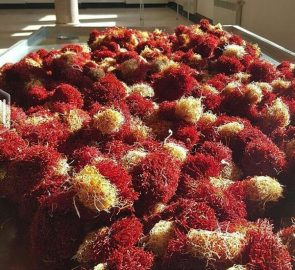 فروشگاه اینترنتی زعفران فله در تهران فروشگاه اینترنتی زعفران فله در تهران