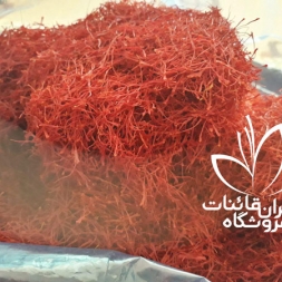 صادرات زعفران به عمان صادرات زعفران به عمان