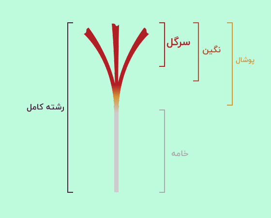 قیمت زعفران فله خرید زعفران عمده
