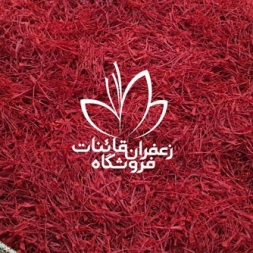 خرید زعفران نگین مشهد امسالی